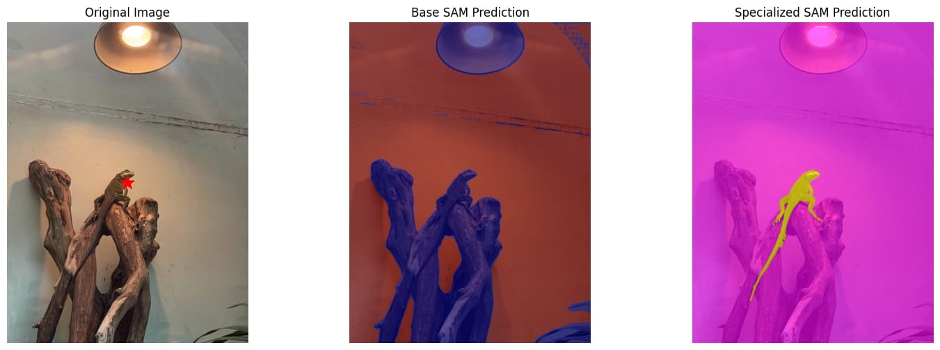 Can a Generalist Model Learn to Specialize? Three Experiments with SAM