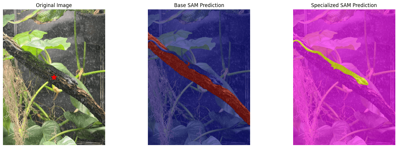 Qualitative model comparison using photos from the Smithsonian National Zoo