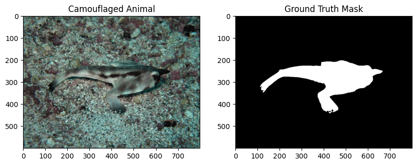 Camouflage dataset and training preparation